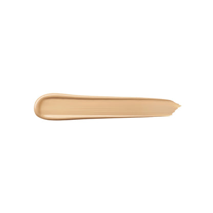 Teint Idole Ultra Wear All Over Full Coverage Concealer