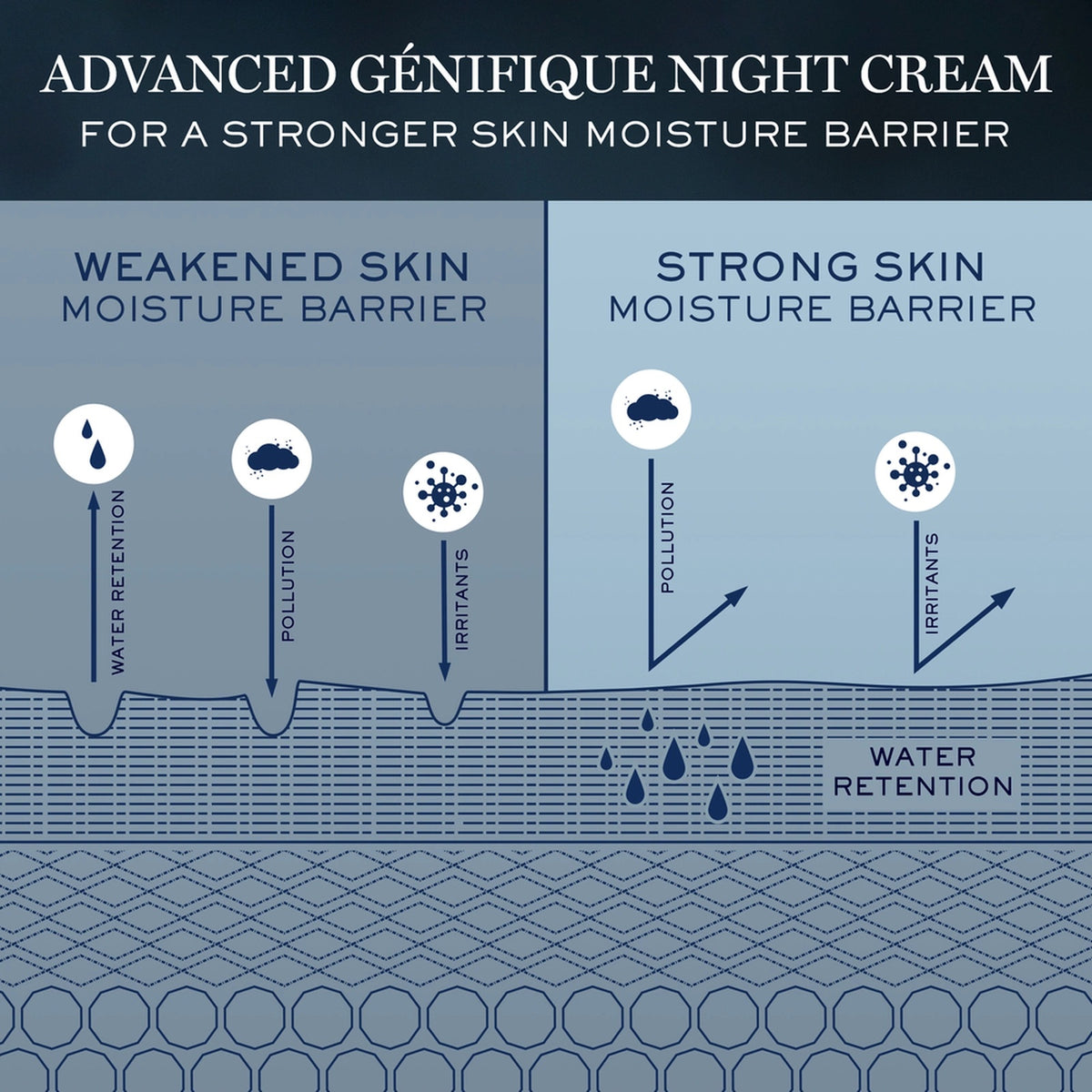 Advanced Génifique Night Cream