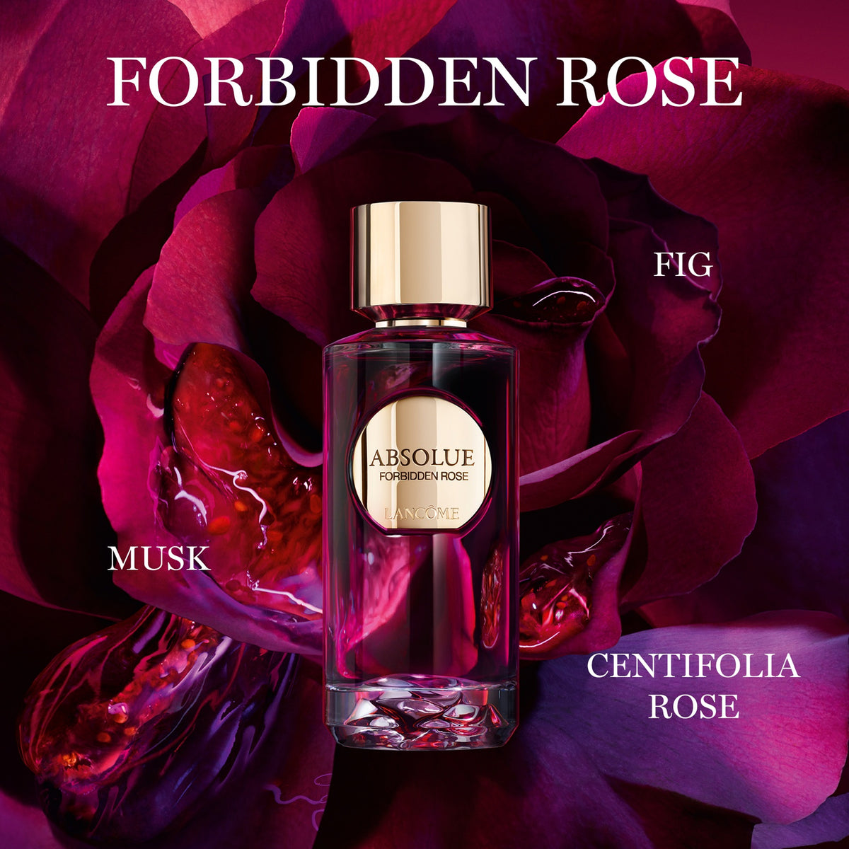 Forbidden Rose