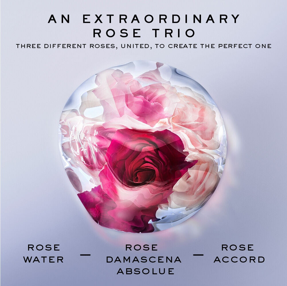 La vie est belle Rose Extraordinaire