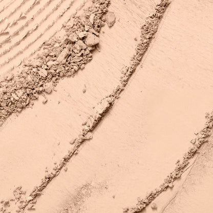 Dual Finish Powder Foundation