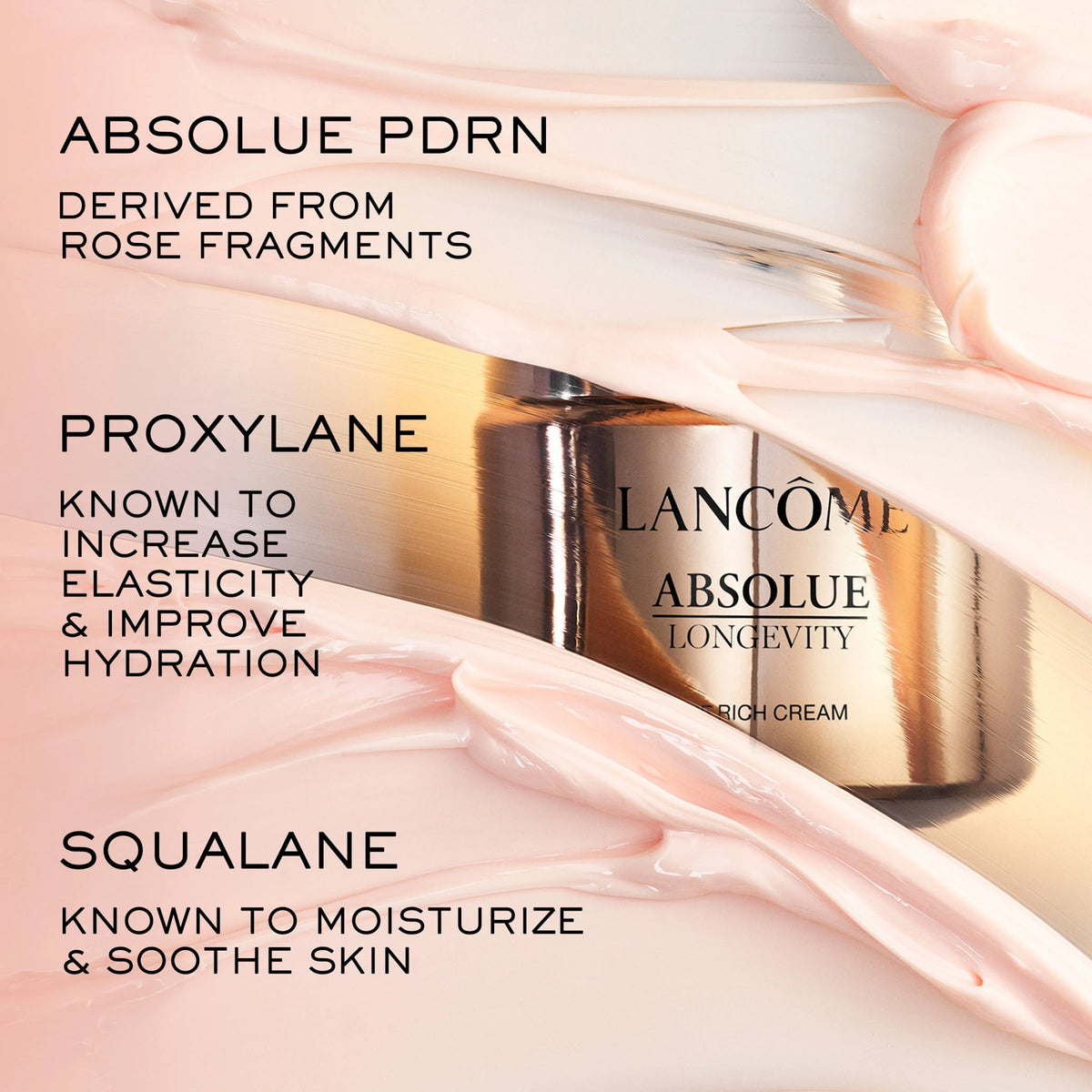 Absolue Rich Cream Moisturizer