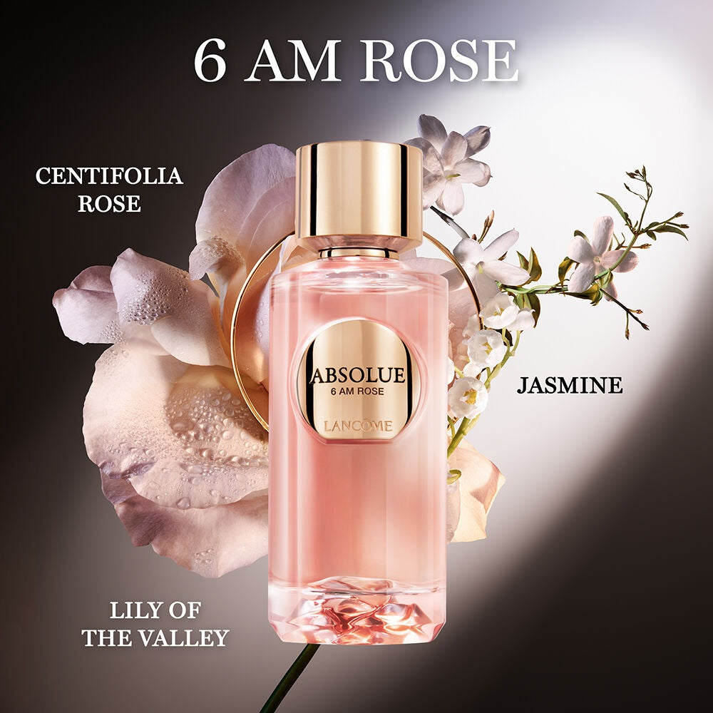 6AM Rose