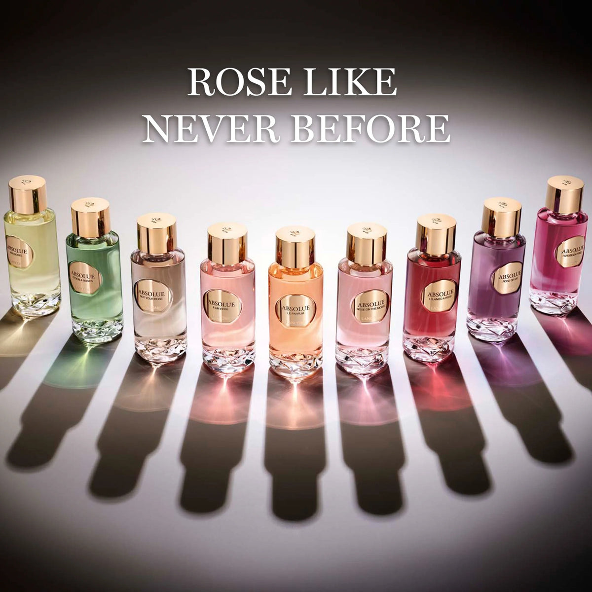 Storm & Roses