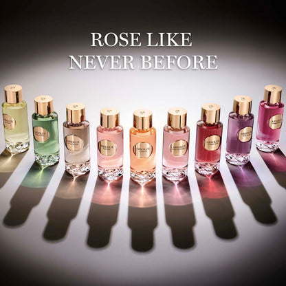 Storm & Roses