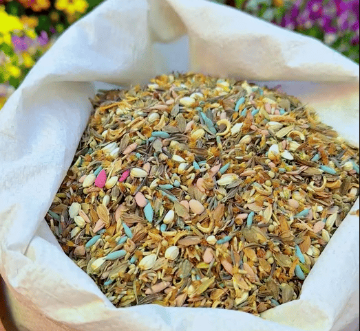 Mixed Perennial Flowers Seeds-60+ kinds mixed